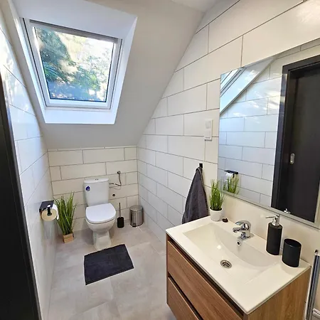 Balint Borlak ホームステイ *