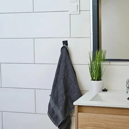 ホームステイ Balint Borlak *