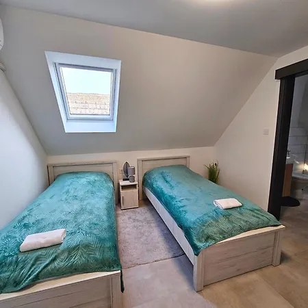 Homestay Balint Borlak