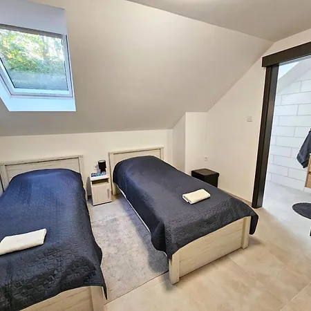 Balint Borlak Homestay *