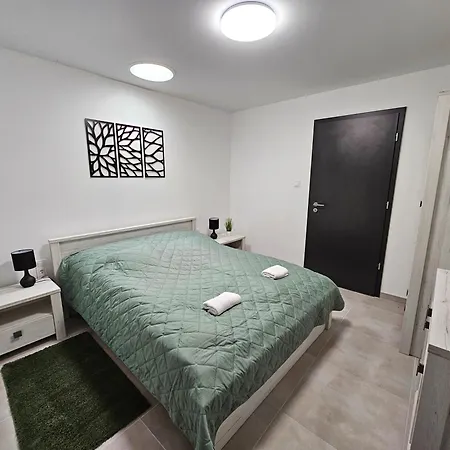 Homestay Balint Borlak