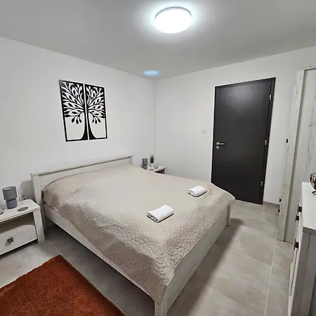 Homestay Balint Borlak Hajos