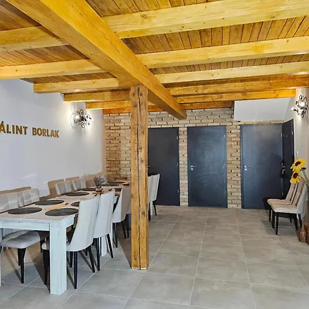 Homestay Balint Borlak *
