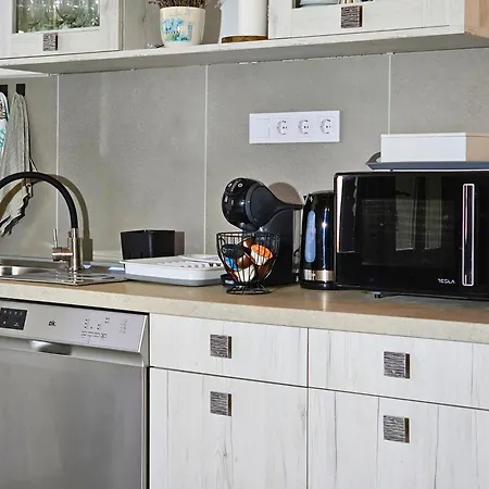 Balint Borlak ホームステイ Hajós