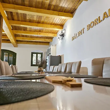 Balint Borlak Homestay Hajos