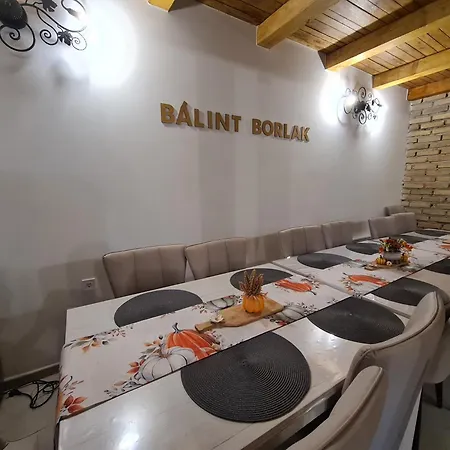 Balint Borlak ホームステイ Hajós