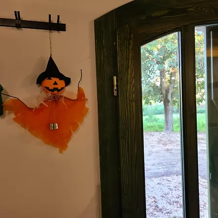 Homestay Balint Borlak Hajos
