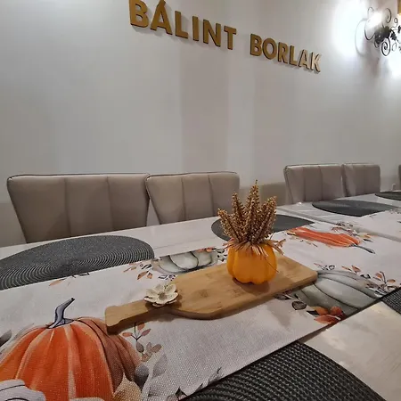 Balint Borlak ホームステイ