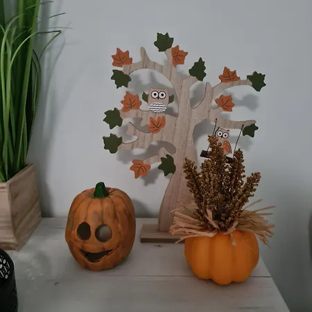 Homestay szállás Bálint Borlak Hajós