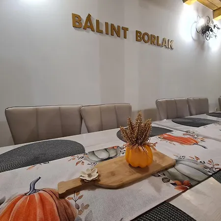 Balint Borlak