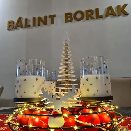 Balint Borlak *