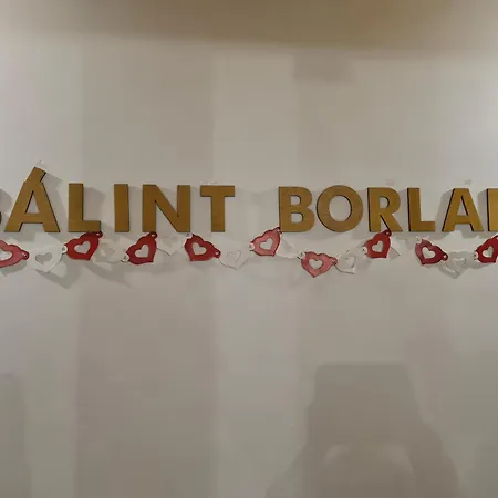 Homestay Balint Borlak