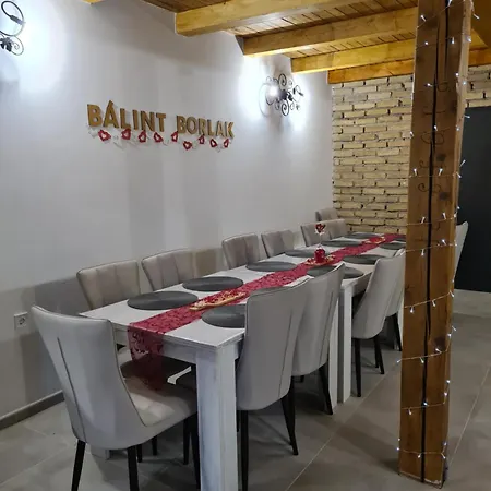 Homestay Balint Borlak *