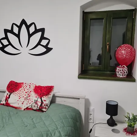 Balint Borlak Homestay Hajos