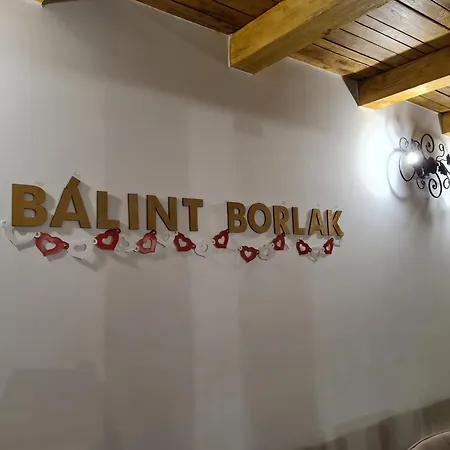 Balint Borlak * Hajos