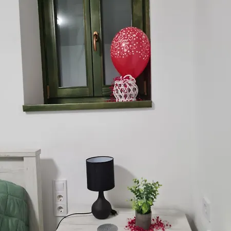 Balint Borlak Homestay *