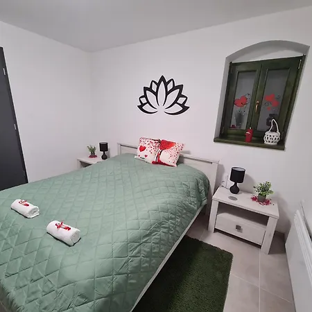 Balint Borlak Homestay *
