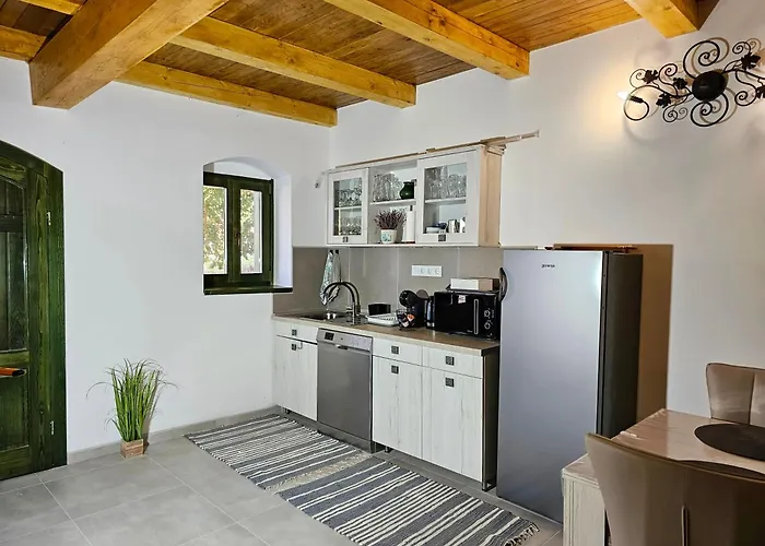 Balint Borlak Rum i privatbostad Hajos