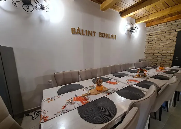 Balint Borlak Rum i privatbostad Hajos