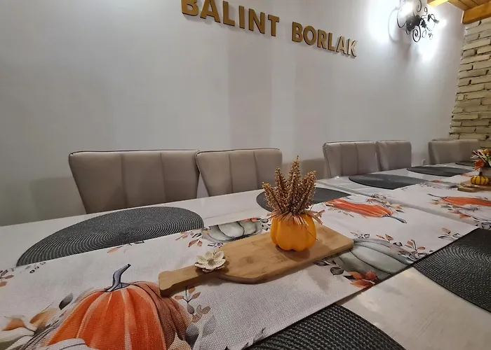 Balint Borlak Rum i privatbostad