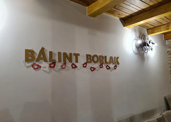 Balint Borlak * Hajos